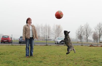 Hundeplatz 24.11.2012 032