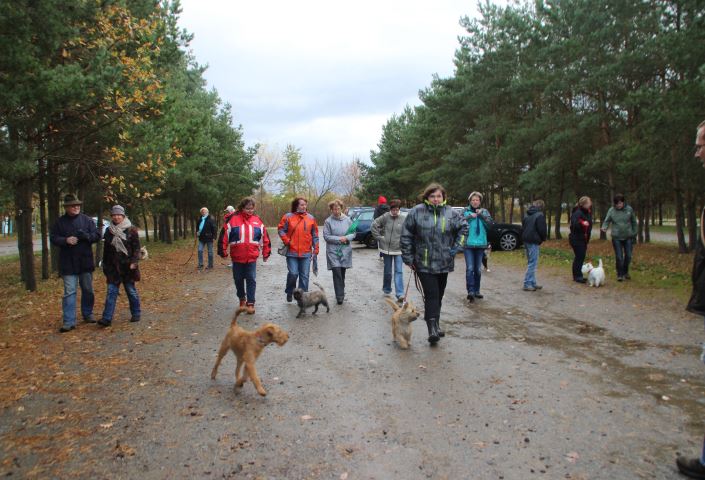 Hundewanderung in Pouch 152