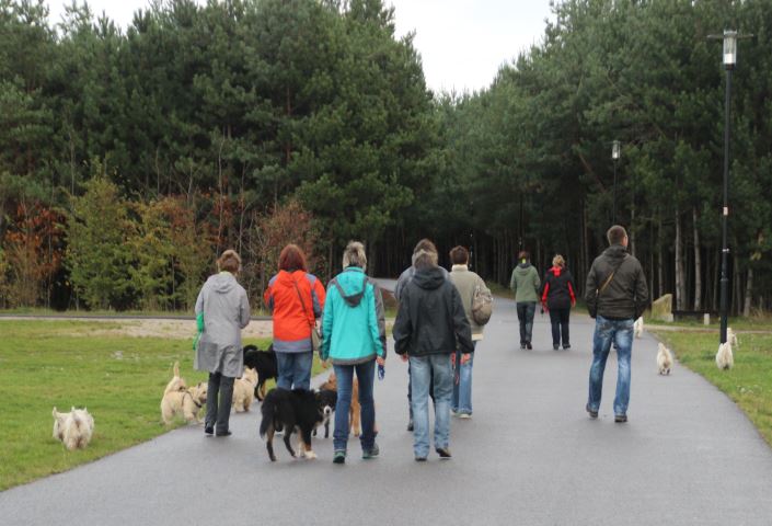 Hundewanderung in Pouch 272