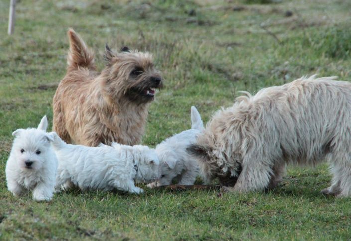 IMG_3070