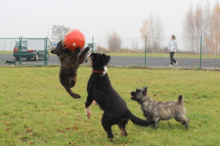 Nele und Lukas 004