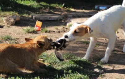 OG Treffen bei SH 133