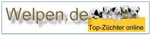 kontakt welpen de Link